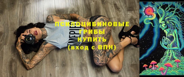 дурь Балахна